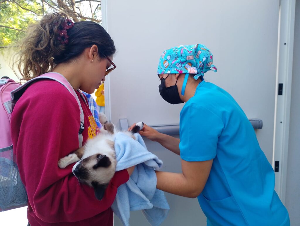 <strong>MÁS ESTERILIZACIONES GRATUITAS PARA CELAYA</strong>